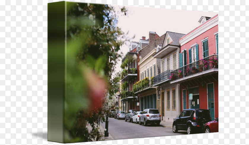 French Streets Property Tree Tourism PNG