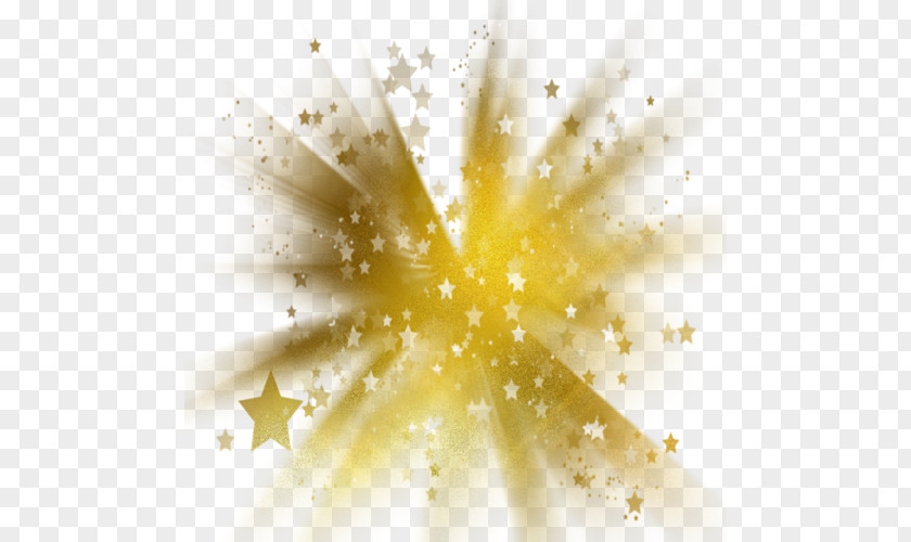 Gold Stars Clip Art PNG