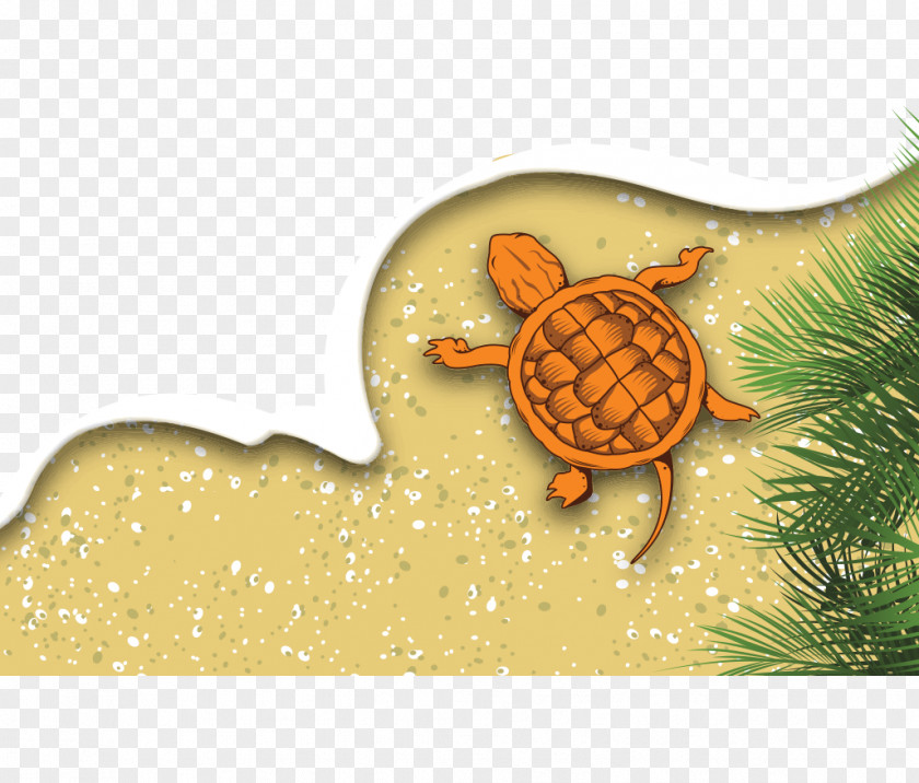 Hand-drawn Illustration Yellow Turtle Beach Adobe Illustrator Download Euclidean Vector PNG