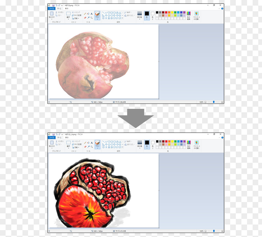 Paint Net Photography 指導 Classroom Organism Microsoft PNG