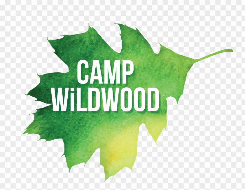 Summer Camp Logo Desktop Wallpaper Brand Leaf Font PNG