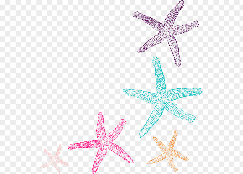 Watercolor Star Coral Starfish Clip Art PNG