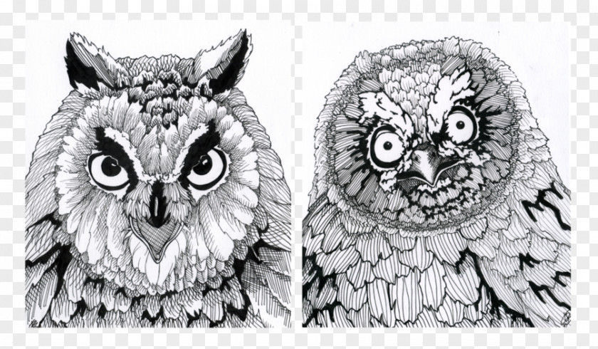 Creative Owl Artist Drawing Bird PNG