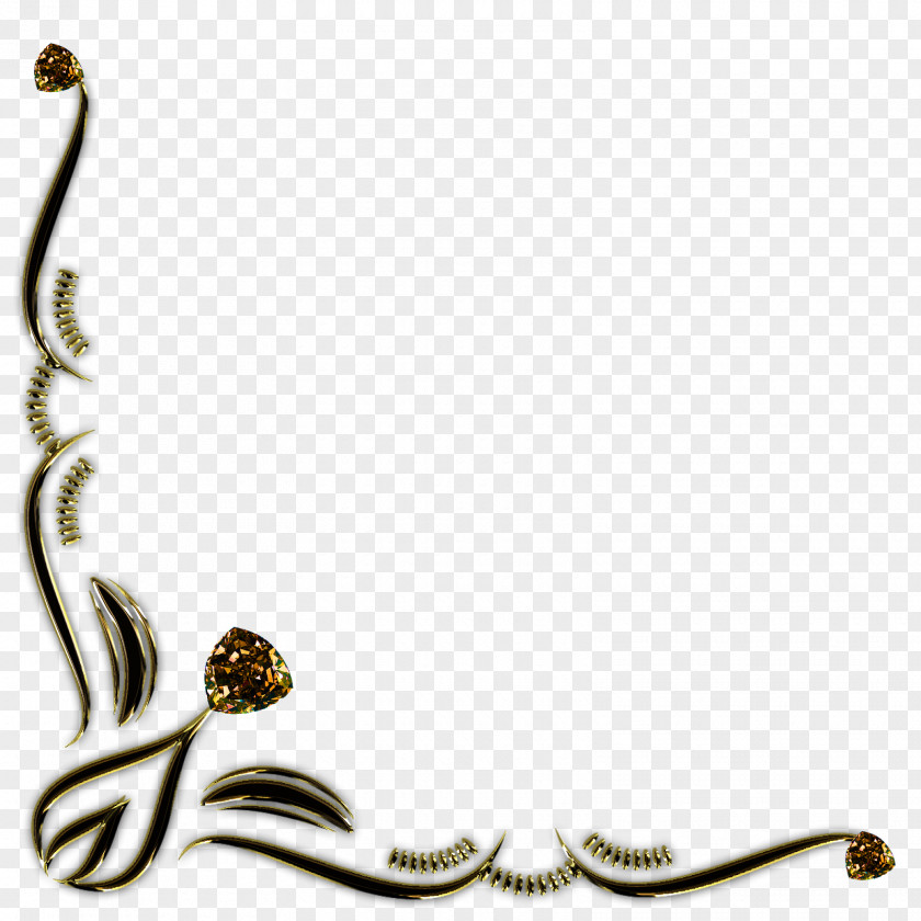Decorations Photography Clip Art PNG