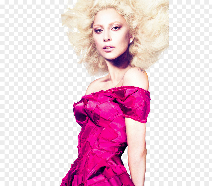 Gaga Lady Gaga's Meat Dress The September Issue Vogue Fashion PNG