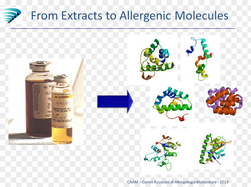 Nanomolecules Allergen Allergology Molecule Allergy Test PNG