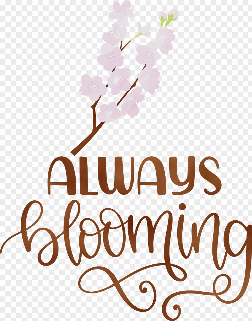 Floral Design PNG