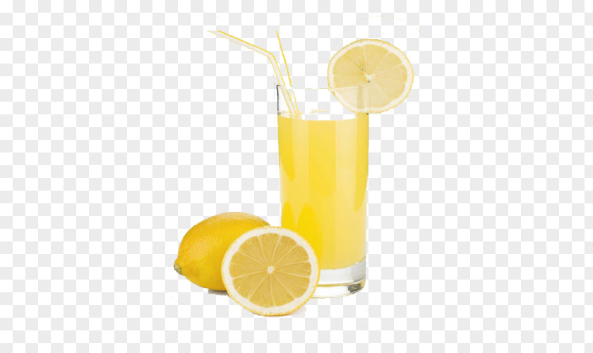 Juice Lemon Lemonade Squash PNG