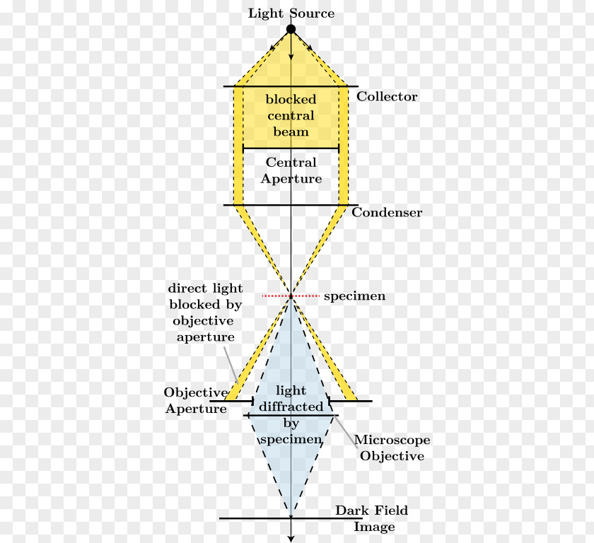 Optical Microscope Light Dark-field Microscopy Bright-field PNG