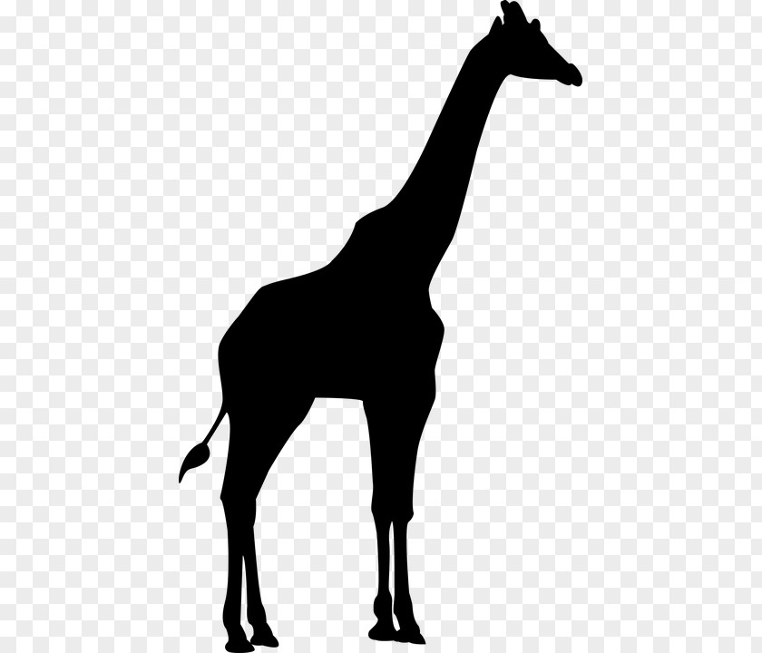 Silhouette Northern Giraffe Clip Art PNG