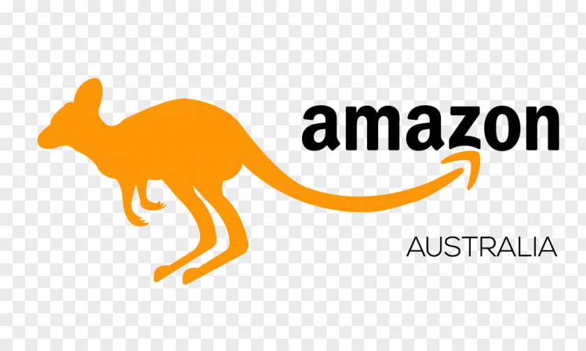 Amazon Books Cat Kangaroo Macropods Amazon.com Mammal PNG