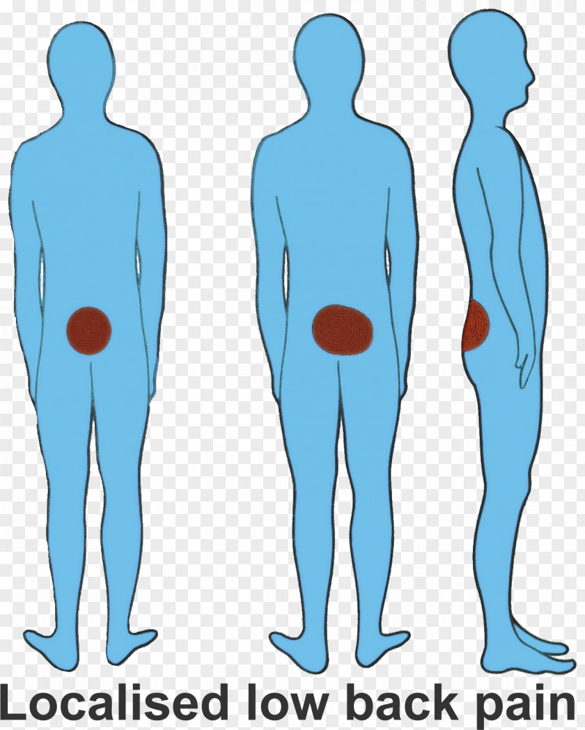 Back Pain Knee Sciatica Symptom Vertebral Column PNG