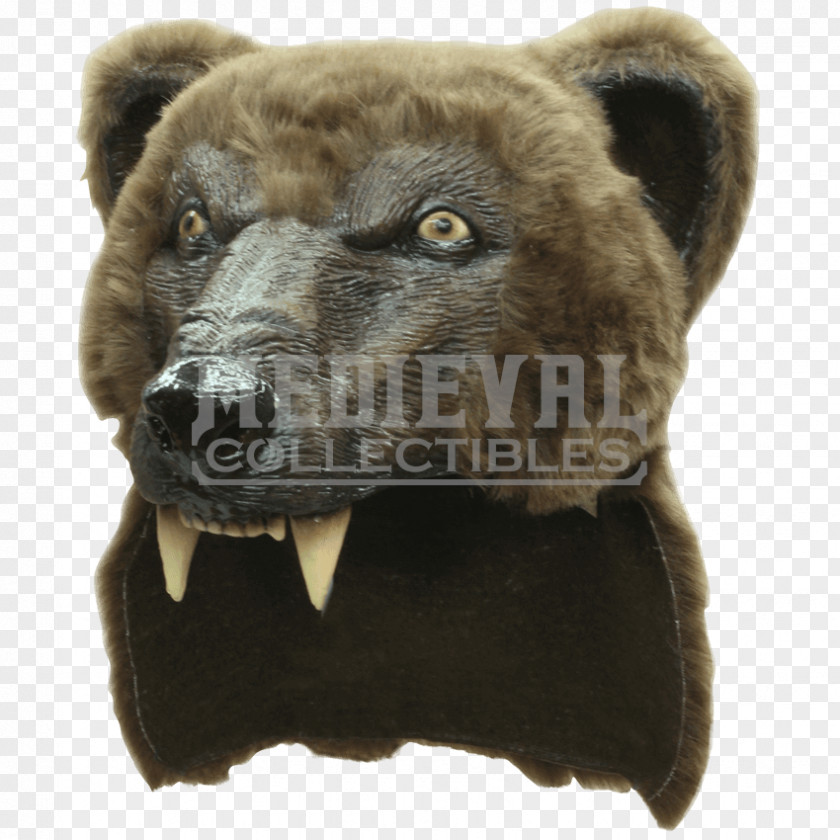 Bear American Black Grizzly Halloween Costume Mask PNG