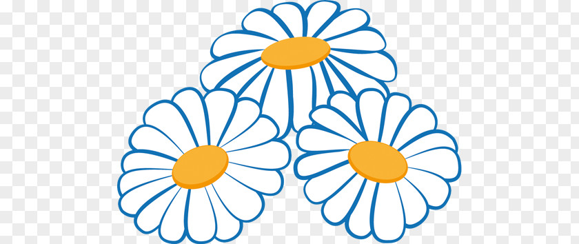 Chamomile Drawing Common Daisy PNG