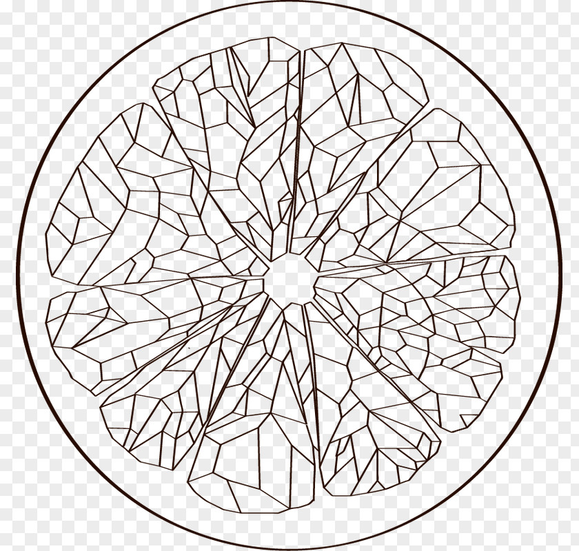 Circle White Point Line Art Symmetry PNG