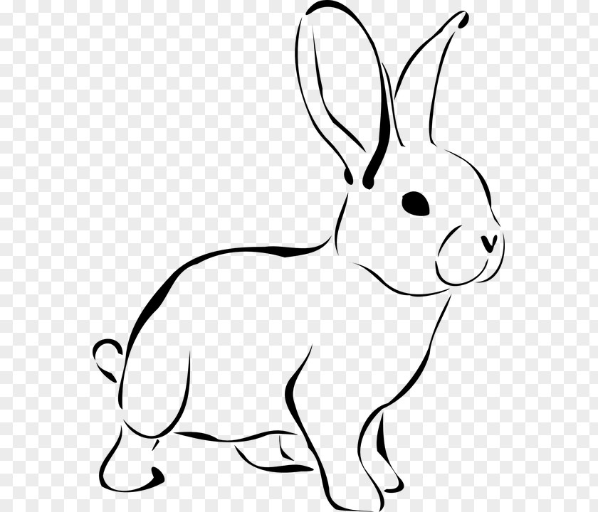 Domesticanimalsblackandwhite Easter Bunny Domestic Rabbit Drawing Clip Art PNG