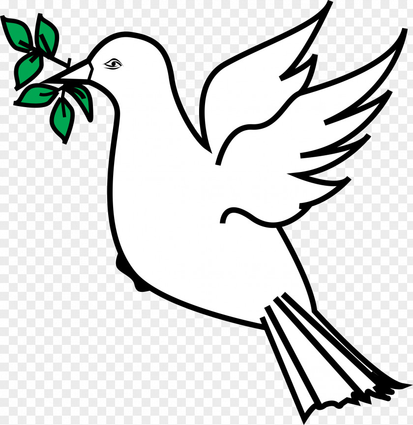 DOVES Olive Branch Doves As Symbols Peace Clip Art PNG