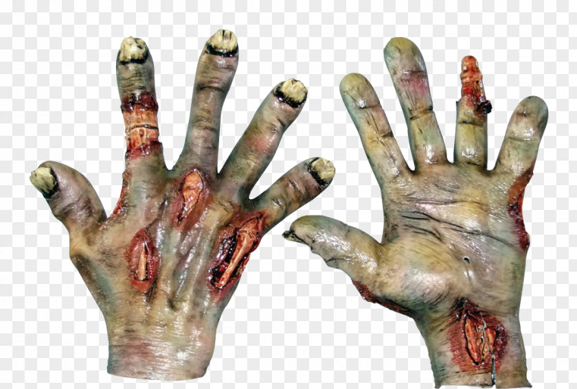 Hand Bone Decomposition Finger Human Skeleton PNG