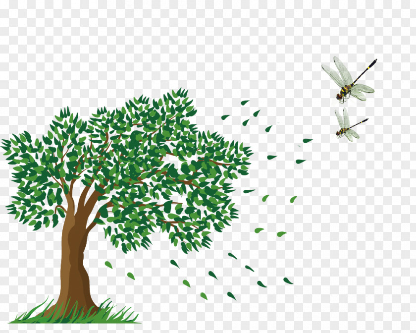 The Wind Blows Leaves Tree Clip Art PNG
