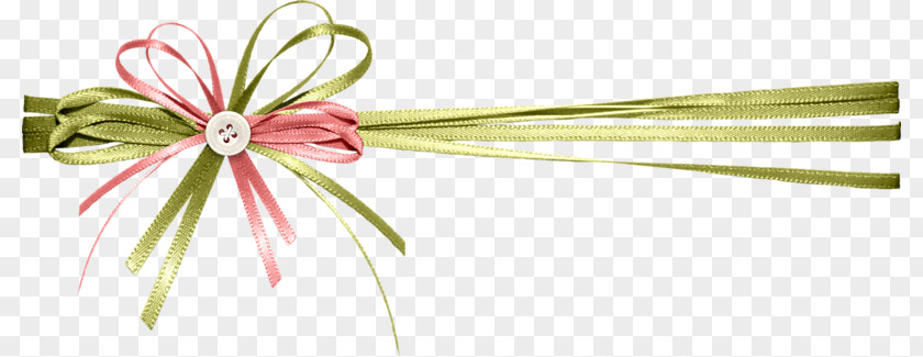 Gift Decorative Ribbon Download Computer File PNG