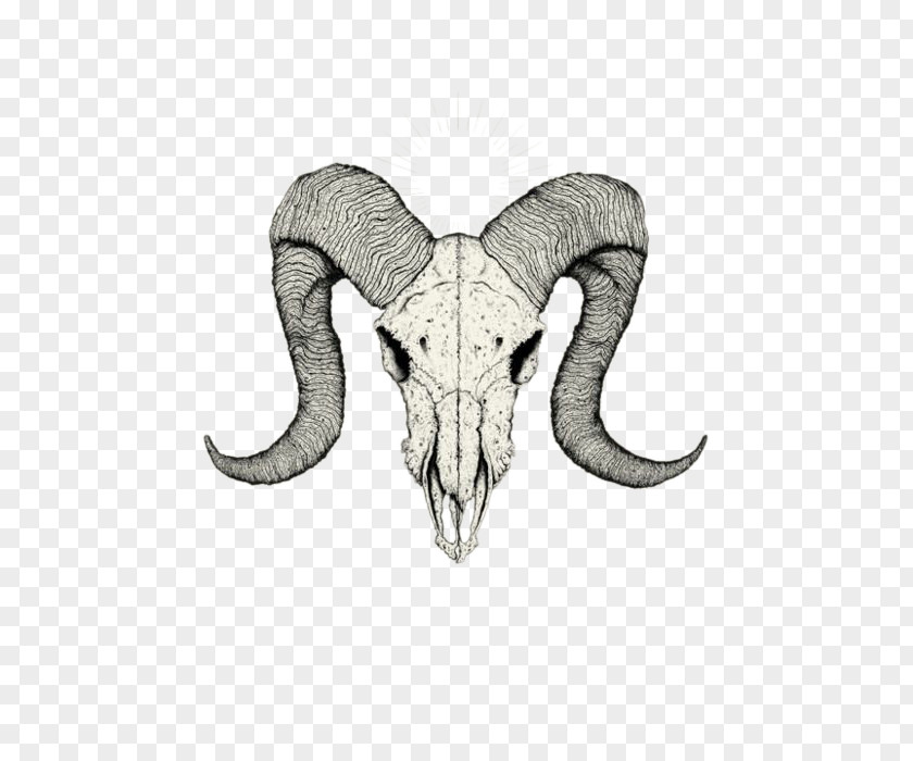 Goat Skull Tattoo Drawing Sketch PNG