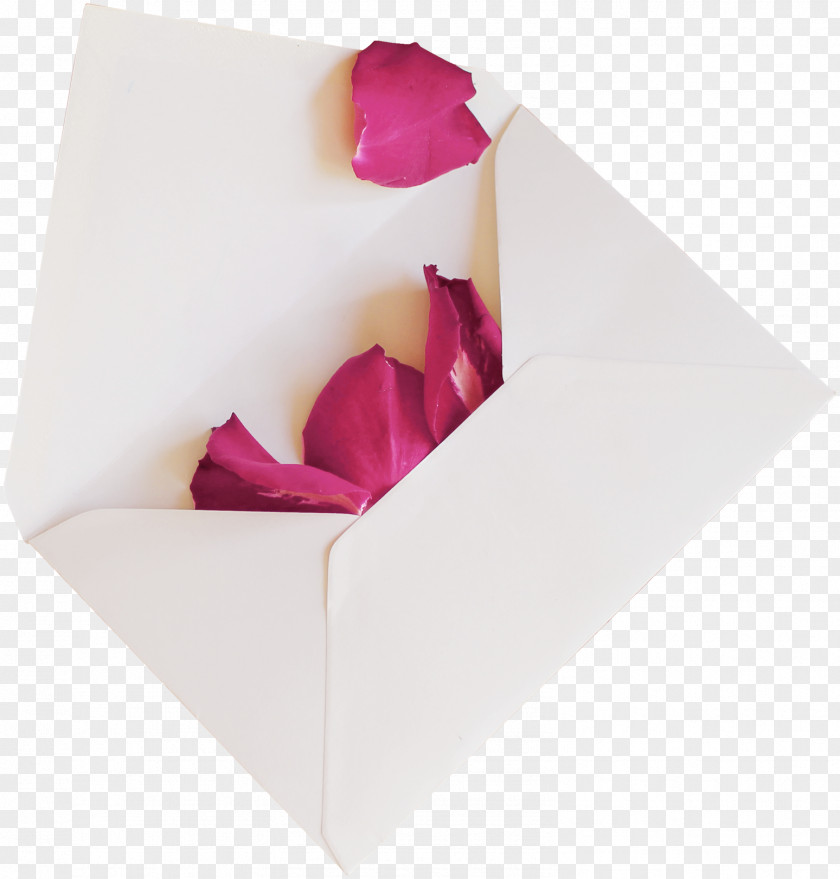 Petals Envelope Paper Oludemi Jagun, Dosunmu And Co Mind PNG