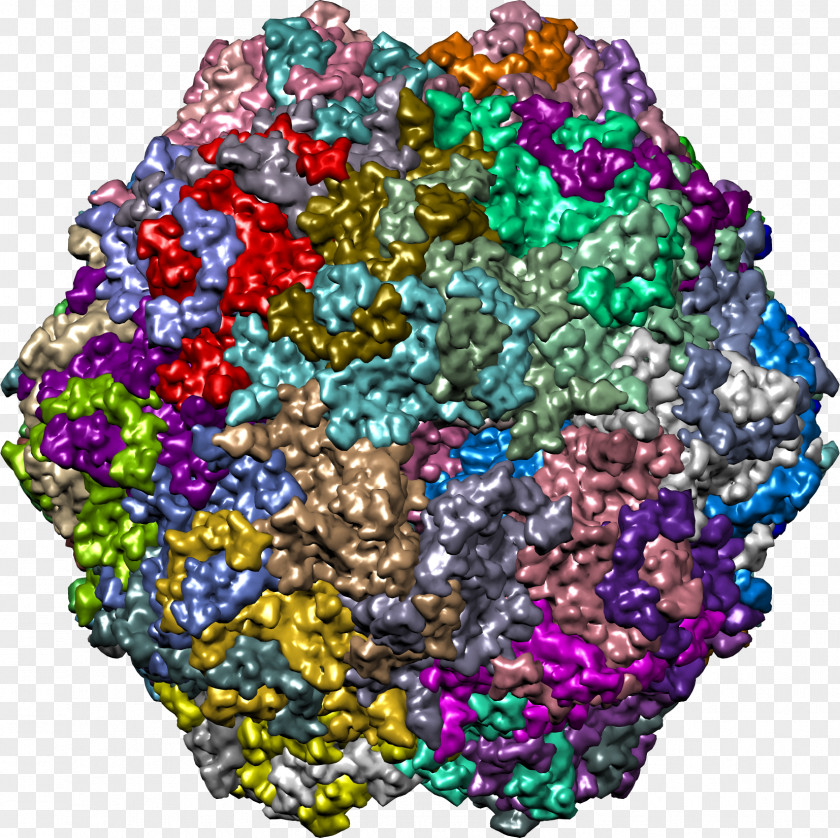 Sterilized Virus Antibody Bead Crystallography PNG