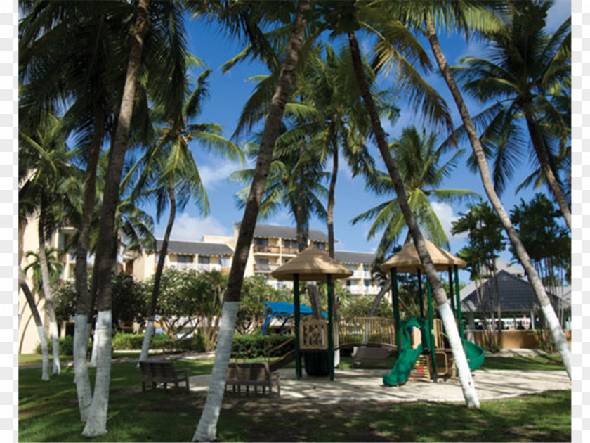 Beach Divi Southwinds Resort Hotel PNG