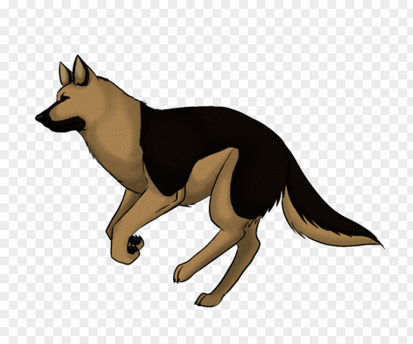 Dog Breed German Shepherd Xiasi Registry PNG