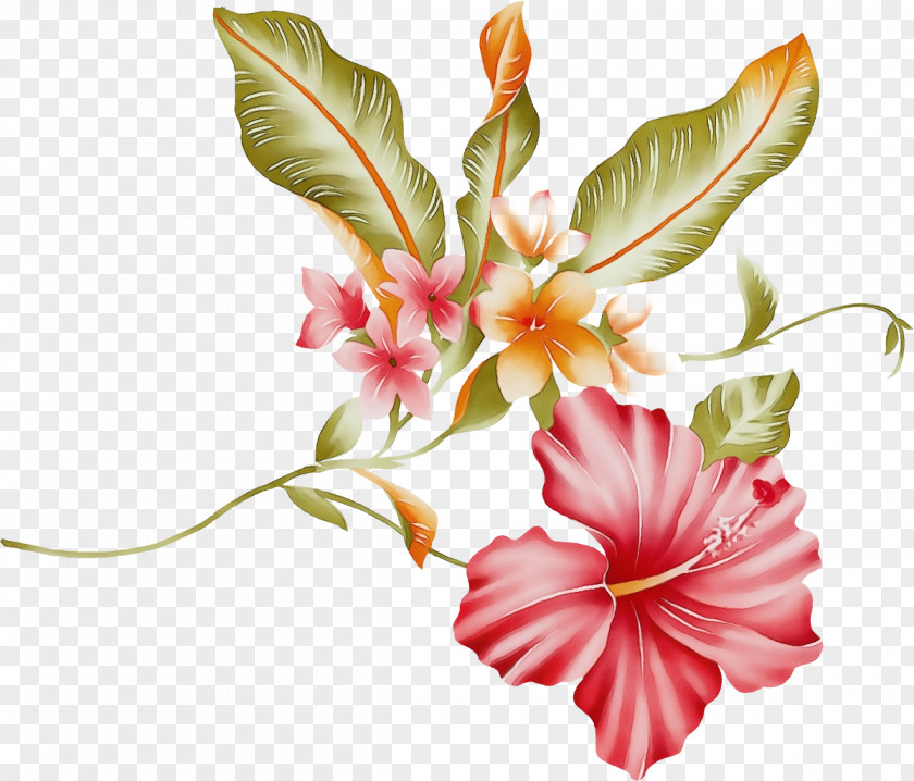 Floral Design Cut Flowers Petal Painting PNG