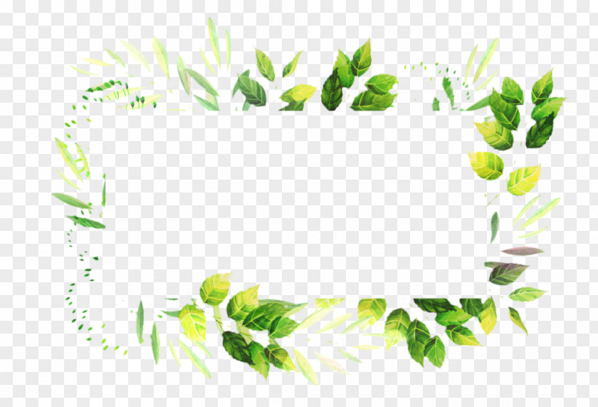 Perennial Plant Flower Floral Background PNG