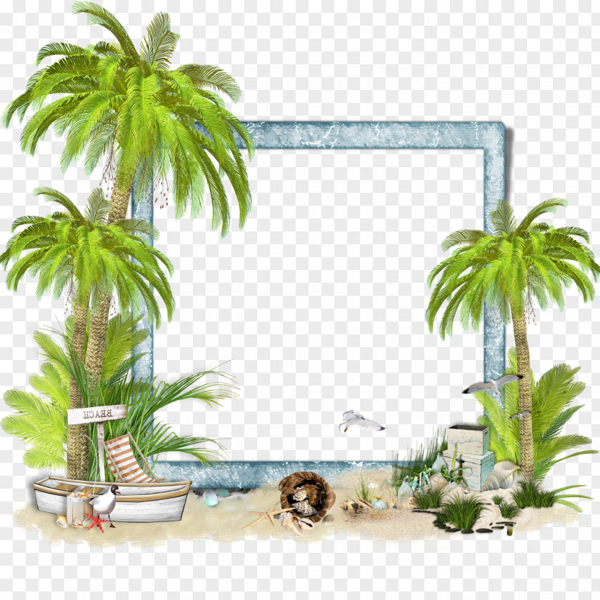 Rio Picture Frames Clip Art PNG