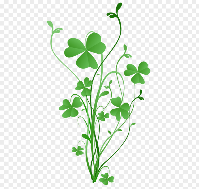 Saint Patrick's Day Shamrock Four-leaf Clover Greeting & Note Cards PNG