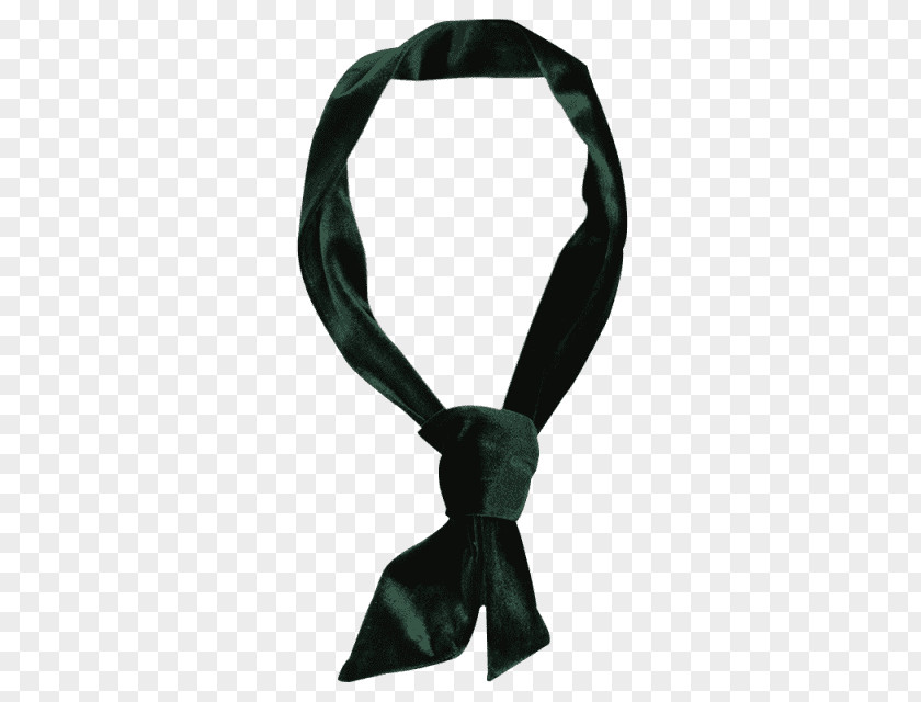 Scarf Neck Teal PNG