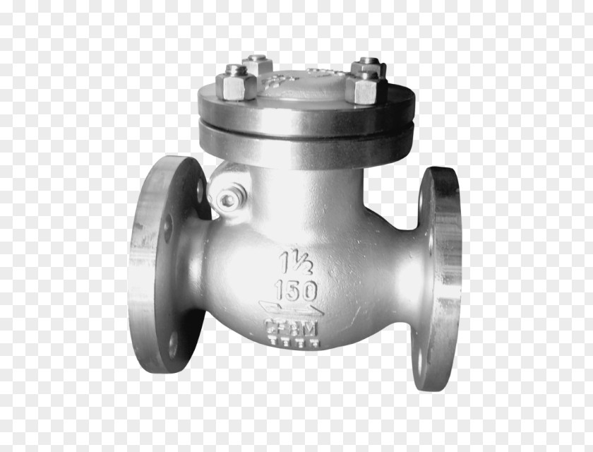Stainless Steel Flange Check Valve PNG