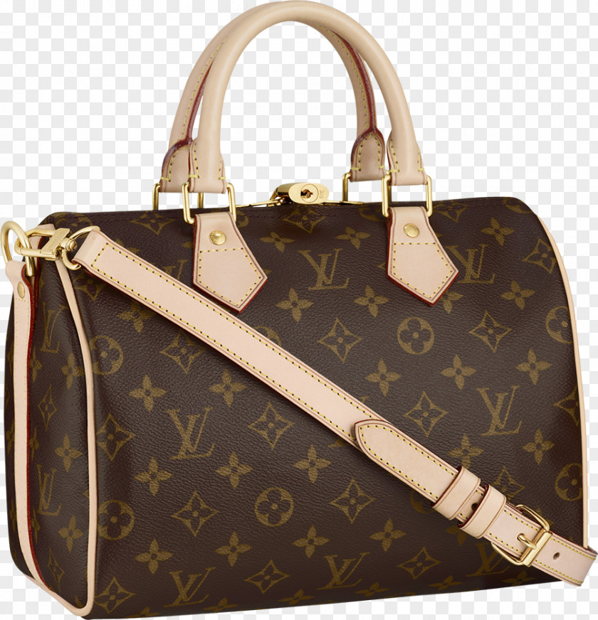 Chanel Louis Vuitton Handbag Factory Outlet Shop PNG