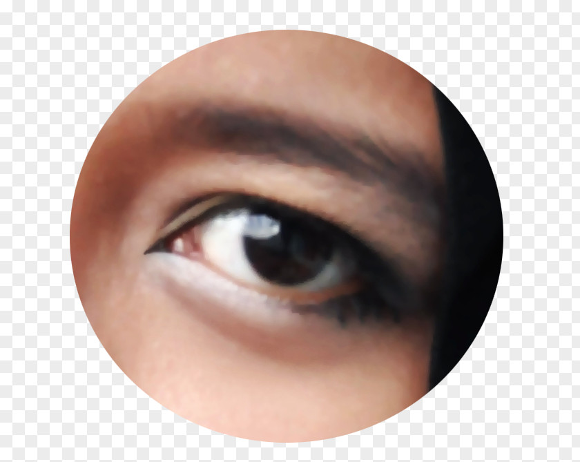Eye Makeup Eyelash Extensions Liner Shadow Lip PNG