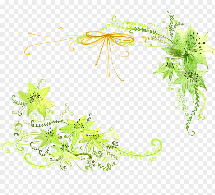 Fresh Lily Background Green Flower Lilium Blue PNG