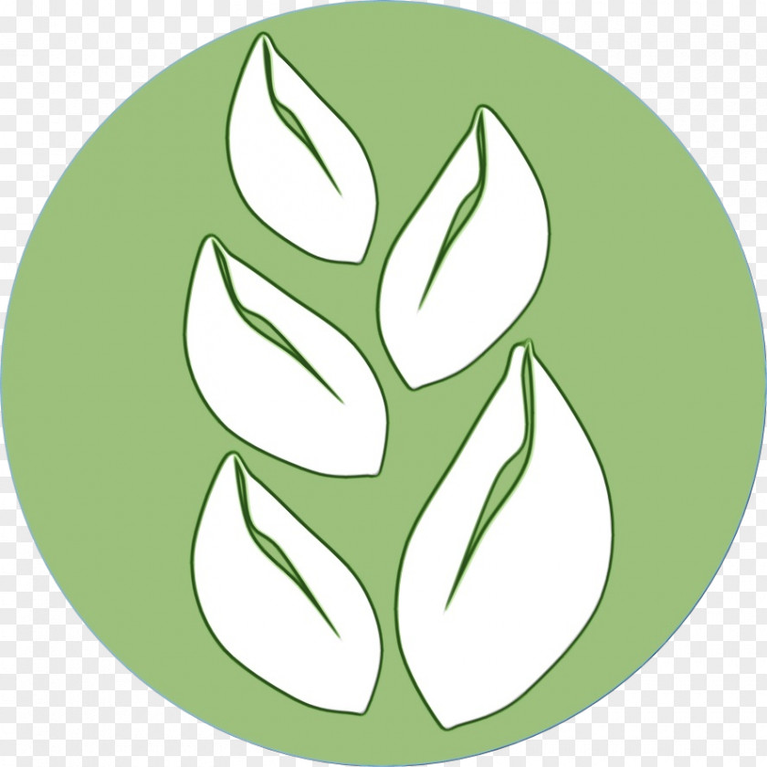 Logo Symbol Green Leaf Watercolor PNG
