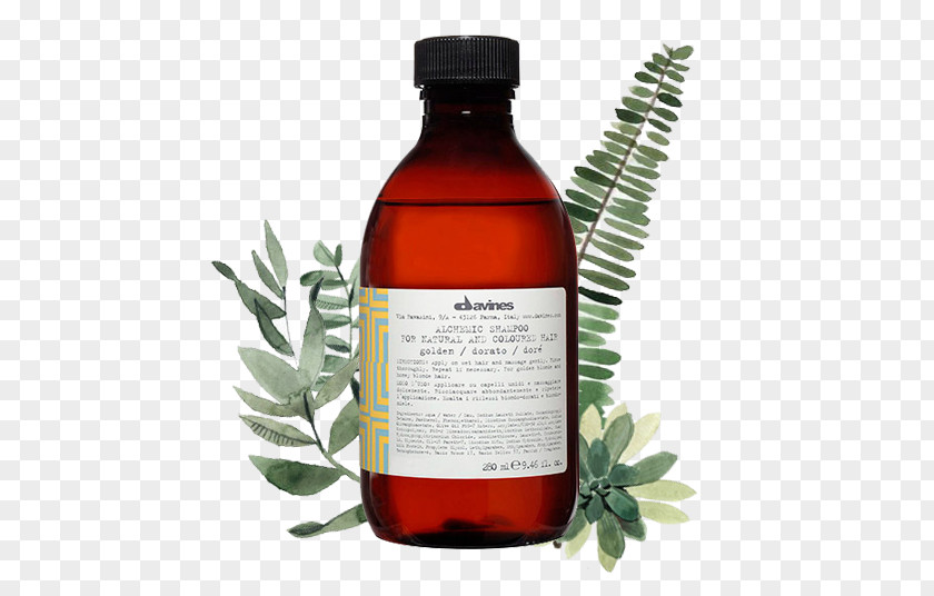 Shampoo Davines OI Absolute Beautifying Hairstyle Hair Conditioner PNG