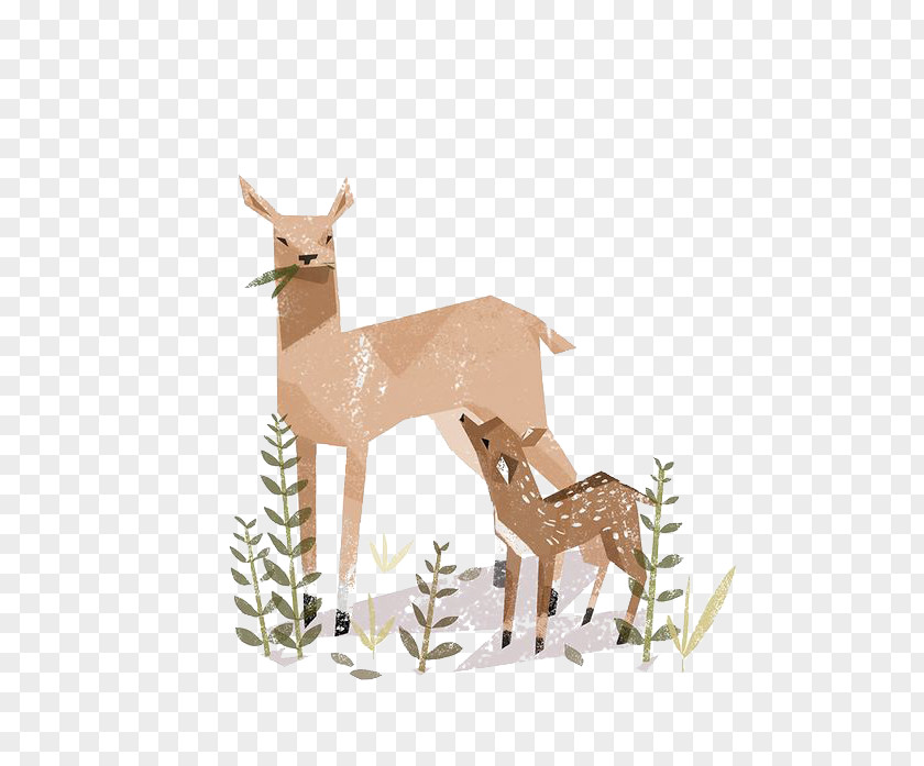 Deer Drawing Illustrator Art Illustration PNG