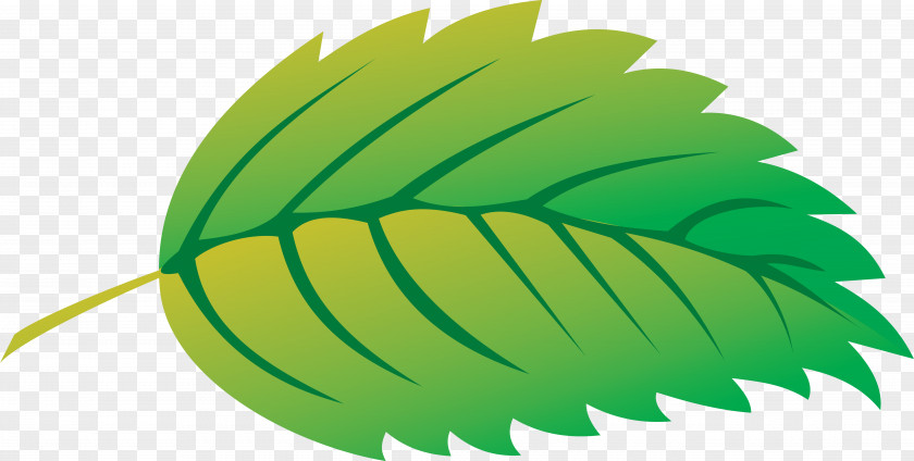 Leaf Vector Graphics Clip Art Image Illustration PNG
