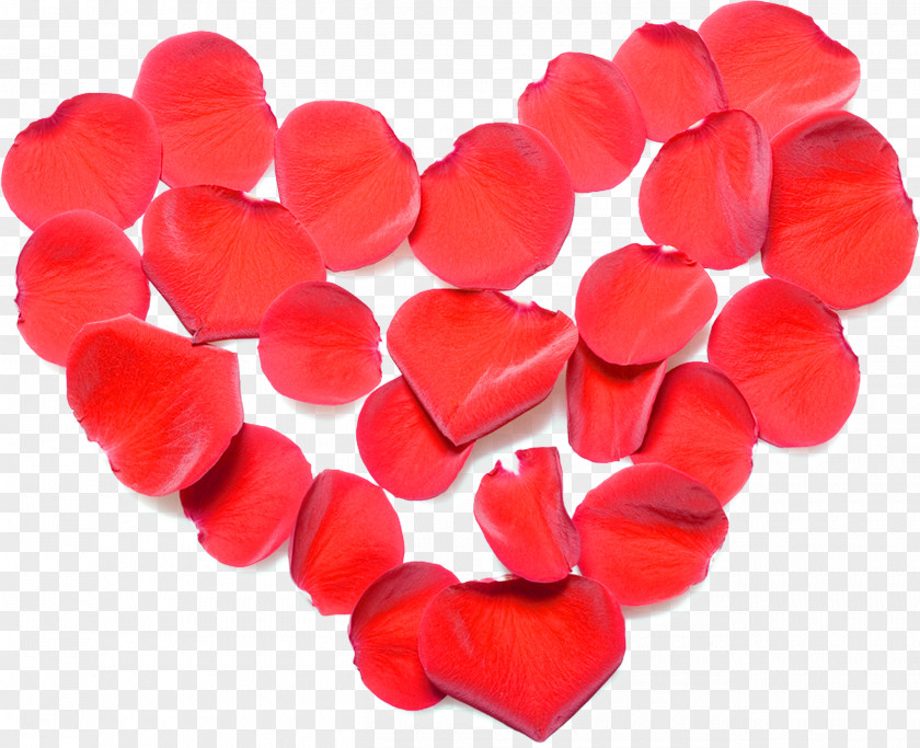 Petals Valentine's Day Heart Love Gift Clip Art PNG
