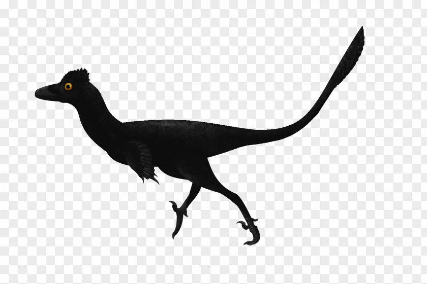 Troodon Velociraptor Digital Art DeviantArt PNG