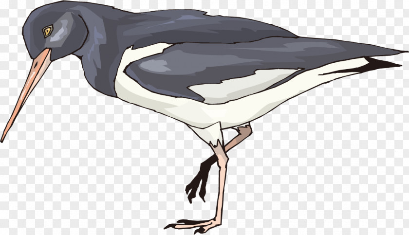 Avianca Ornament Watercolor Painting Bird Crane PNG