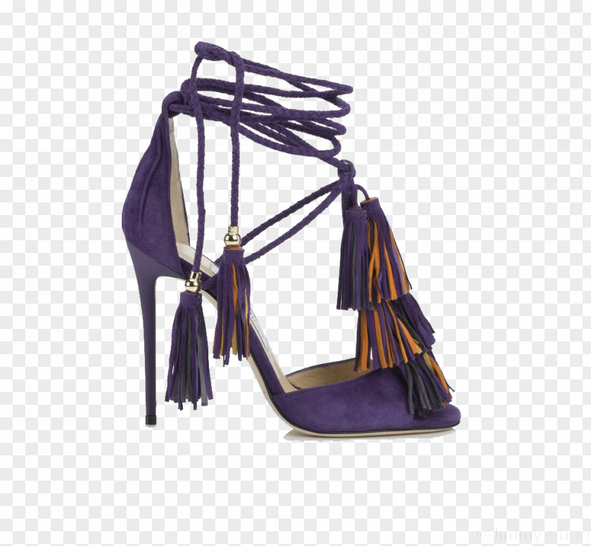Choo Tassel Thin Belt Strap High Heels Shoe High-heeled Footwear Sandal Designer Purple PNG