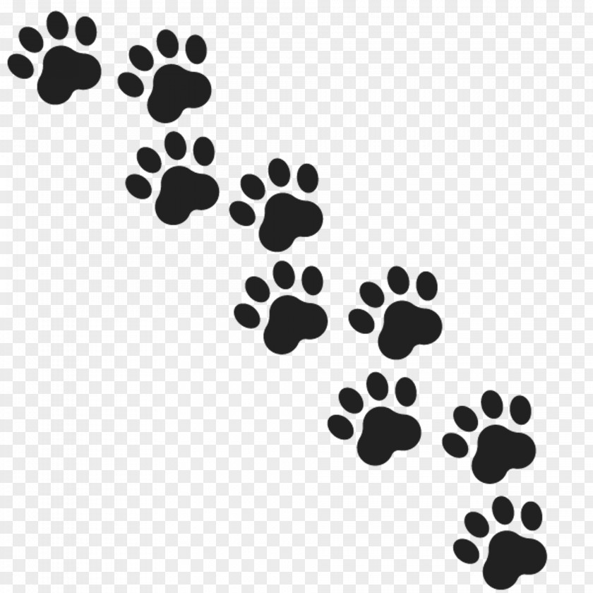 Footprints Gray Wolf Paw Royalty-free PNG