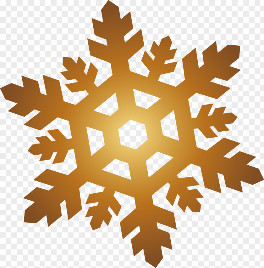 Golden Fresh Snow Sticker Snowflake Photography Service PNG