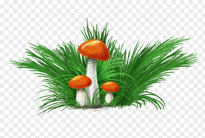 Mushroom Grasses Family PNG