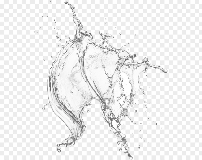 Pure White Crystal Drops Dog Drop Black And PNG